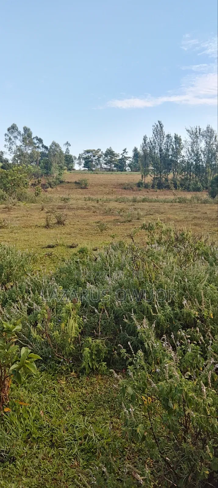 Plot for Sale