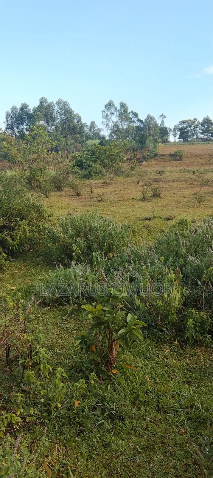 Plot for Sale