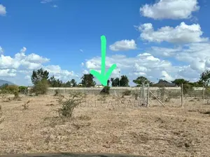 Juja Farm Center