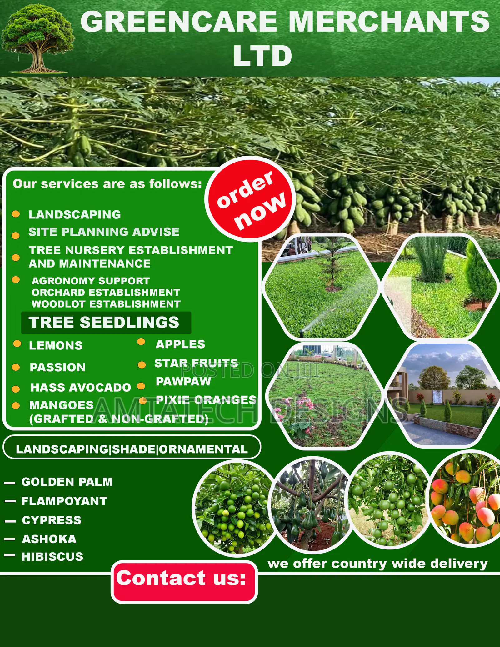 Fast 24hr Flyer Design Social Media Graphics