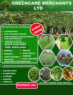 Fast 24hr Flyer Design Social Media Graphics