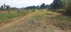 Gated Community Plot for Sale | Kamangu Kikuyu