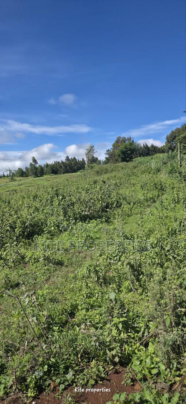 Gated Community Plot for Sale | Kamangu Kikuyu - thumbnail 10