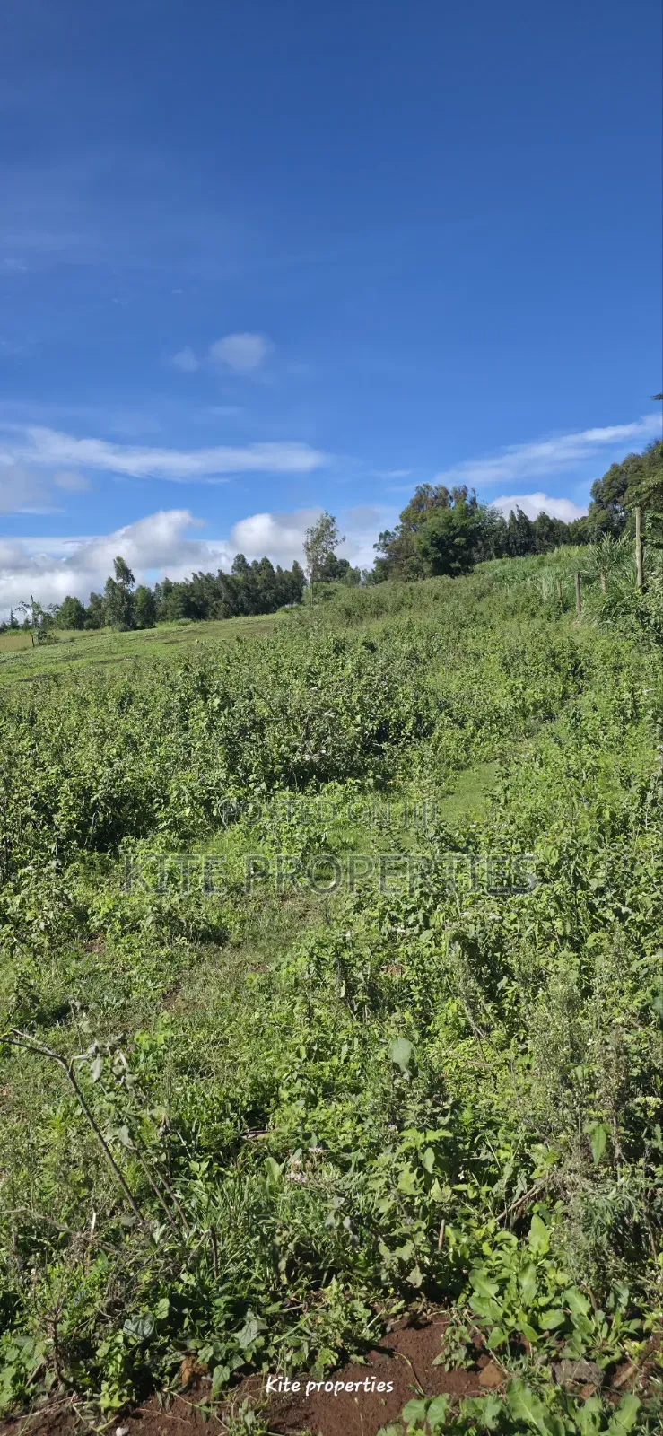 Gated Community Plot for Sale | Kamangu Kikuyu