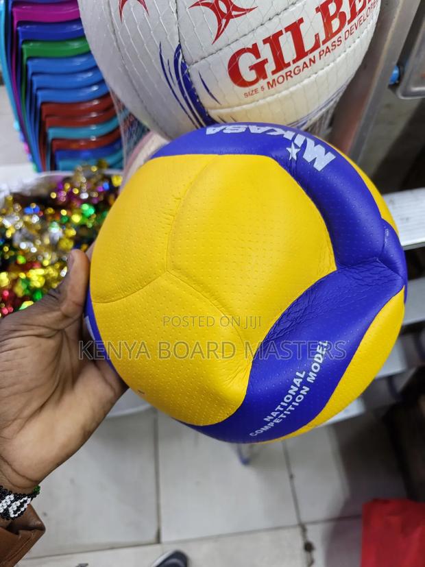 Volleyball Nets and Volleyball - thumbnail 2