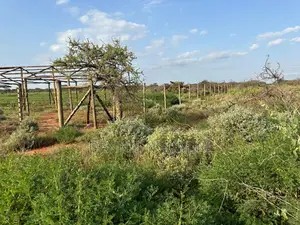 47 Acres Near Simba Cement, Oloitoktok Rd | Eselenkei