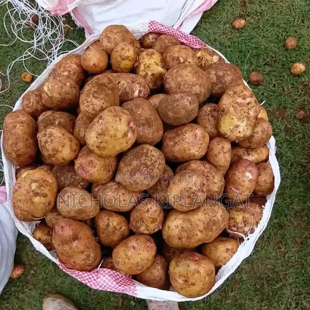 Agriculture Foods - thumbnail 8