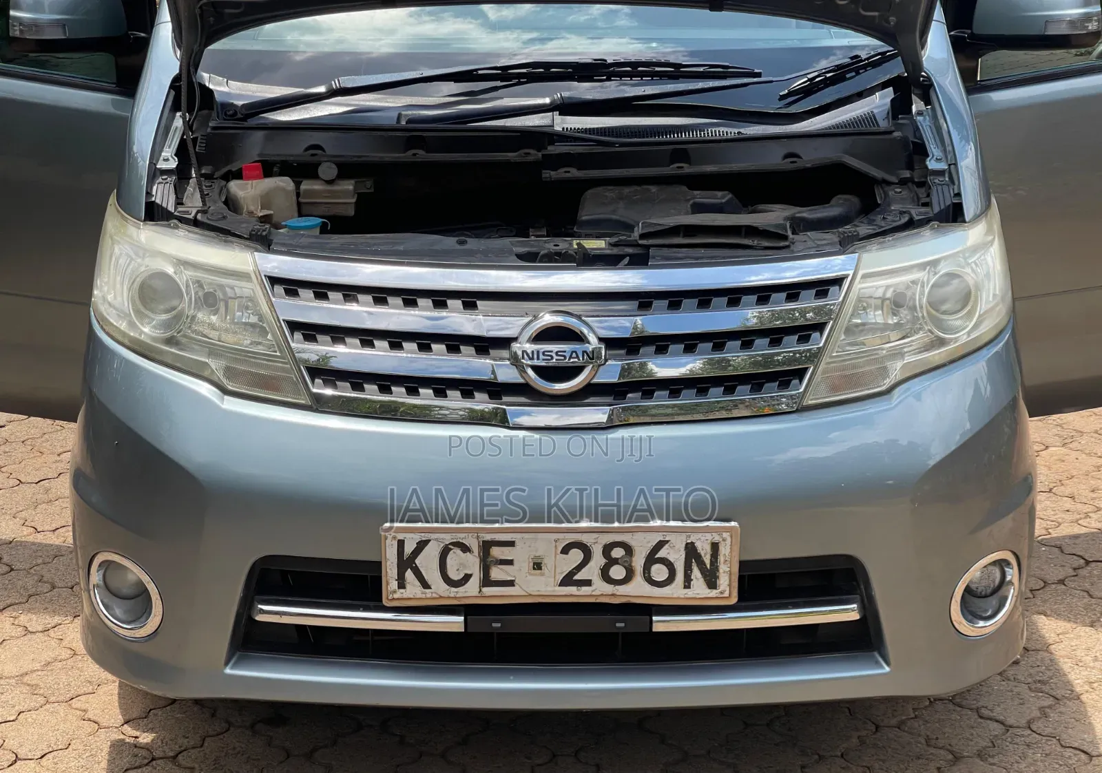 Nissan Serena 2008 Blue