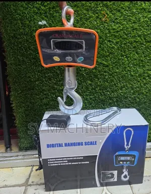 Heavy Duty 1000kg Crane Scale (Ocs-B)
