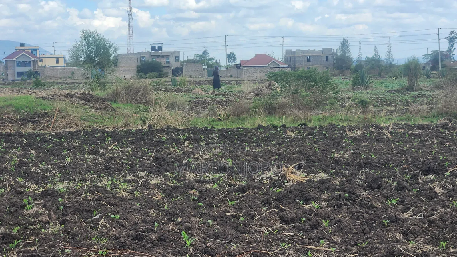 Witeithie Thika Affodable Plots