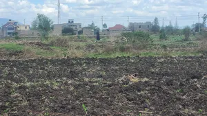 Witeithie Thika Affodable Plots