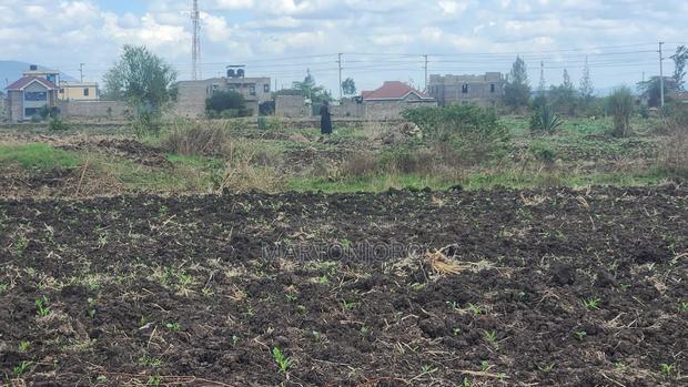Witeithie Thika Affodable Plots - thumbnail 2