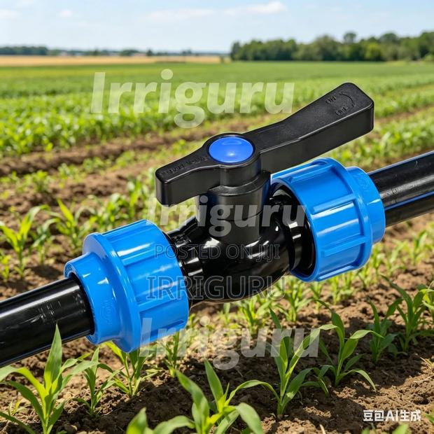 Blue Fittings Valve