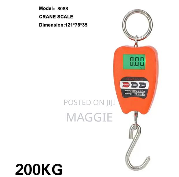 Crane Scale