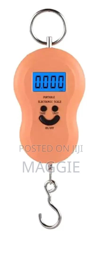 Portable Electronic Scale