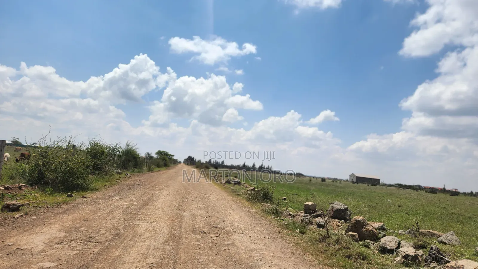 Industrial Land 5 Acres Juja