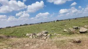Industrial Land 5 Acres Juja