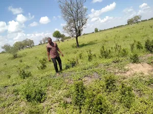 Selling Land