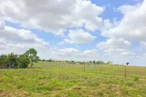 Mariakani Kibao Kiche Plots