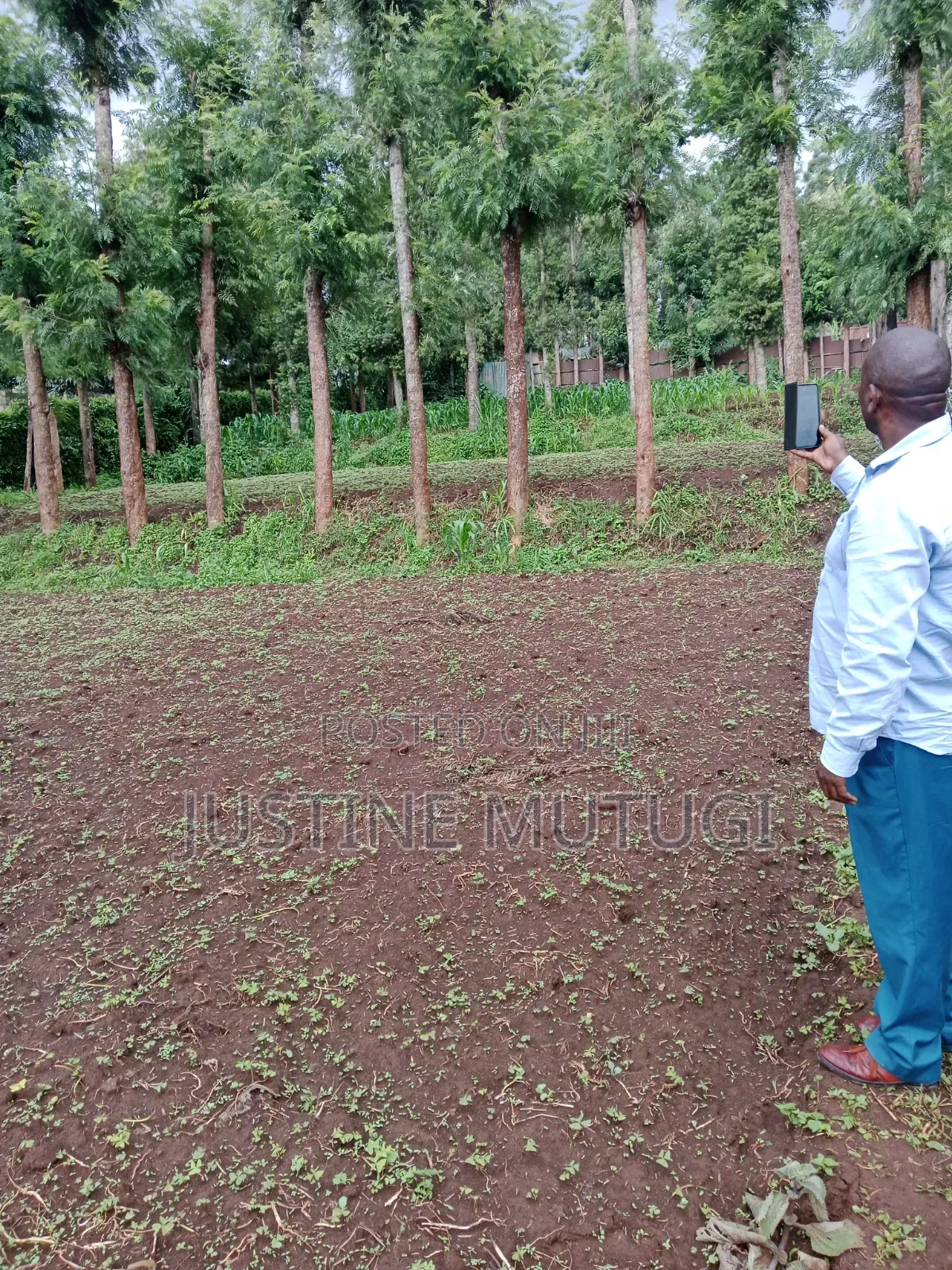 Land for Sale