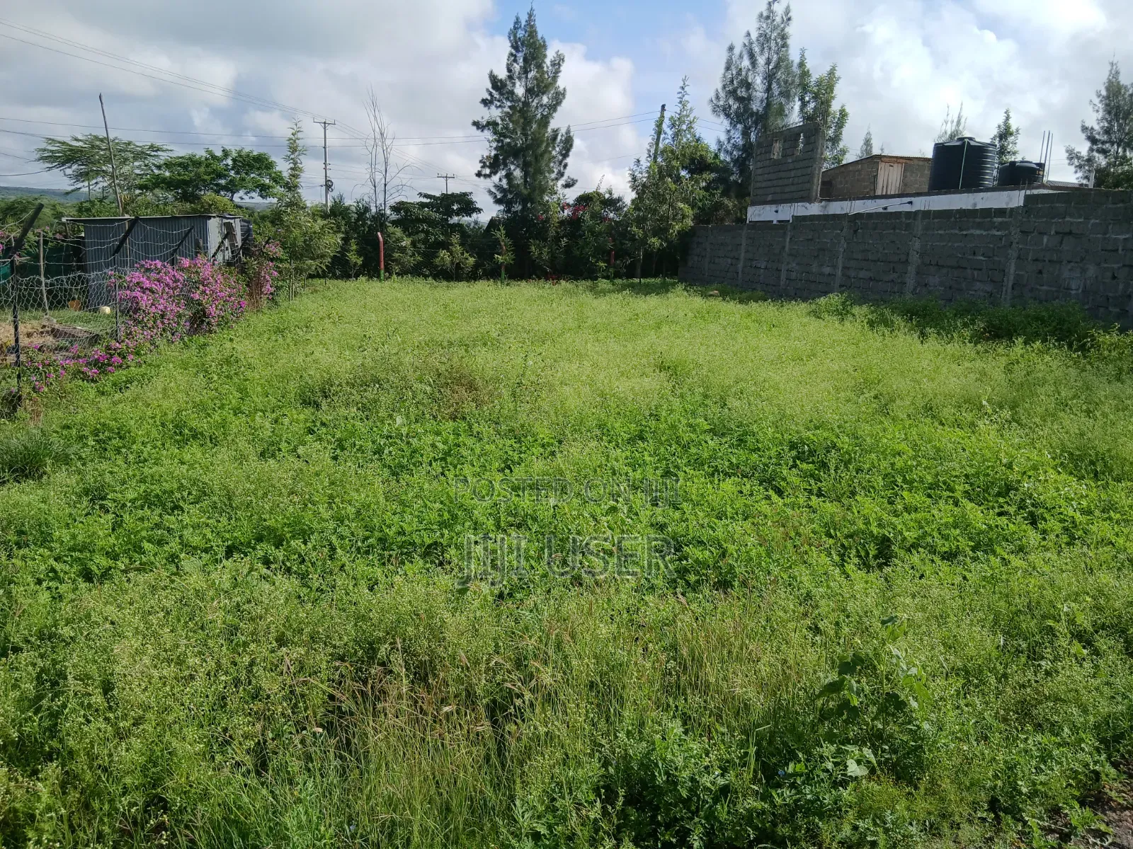 Plot for Sale in Athi River ( 50 X 100) in Woodcrest Estate