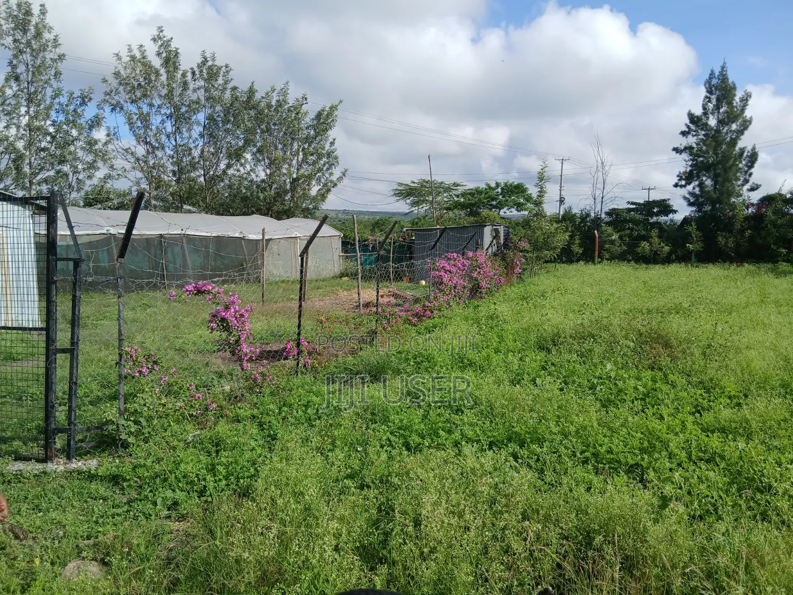 Plot for Sale in Athi River ( 50 X 100) in Woodcrest Estate