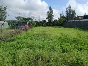 Plot for Sale in Athi River ( 50 X 100) in Woodcrest Estate