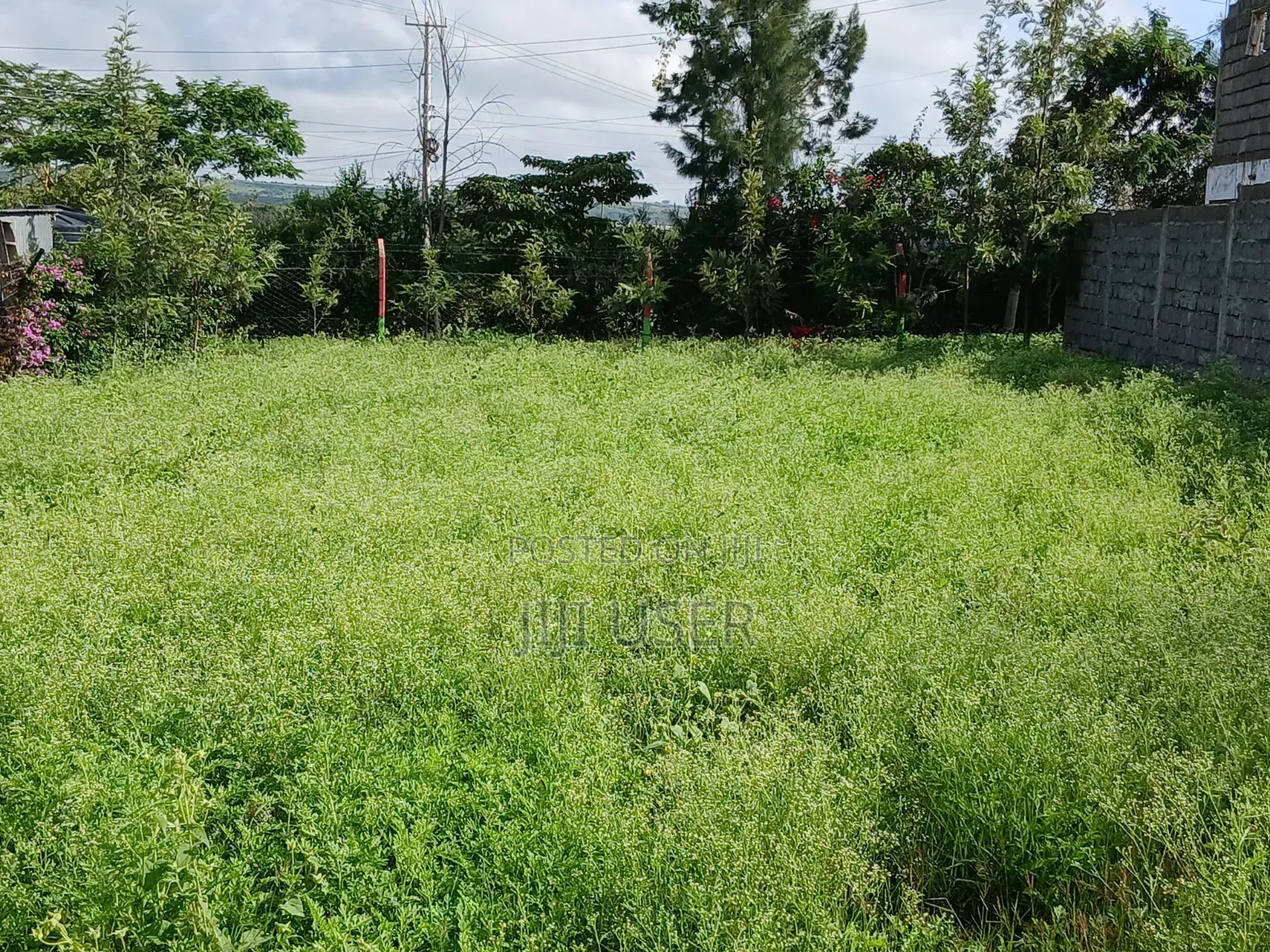 Plot for Sale in Athi River ( 50 X 100) in Woodcrest Estate