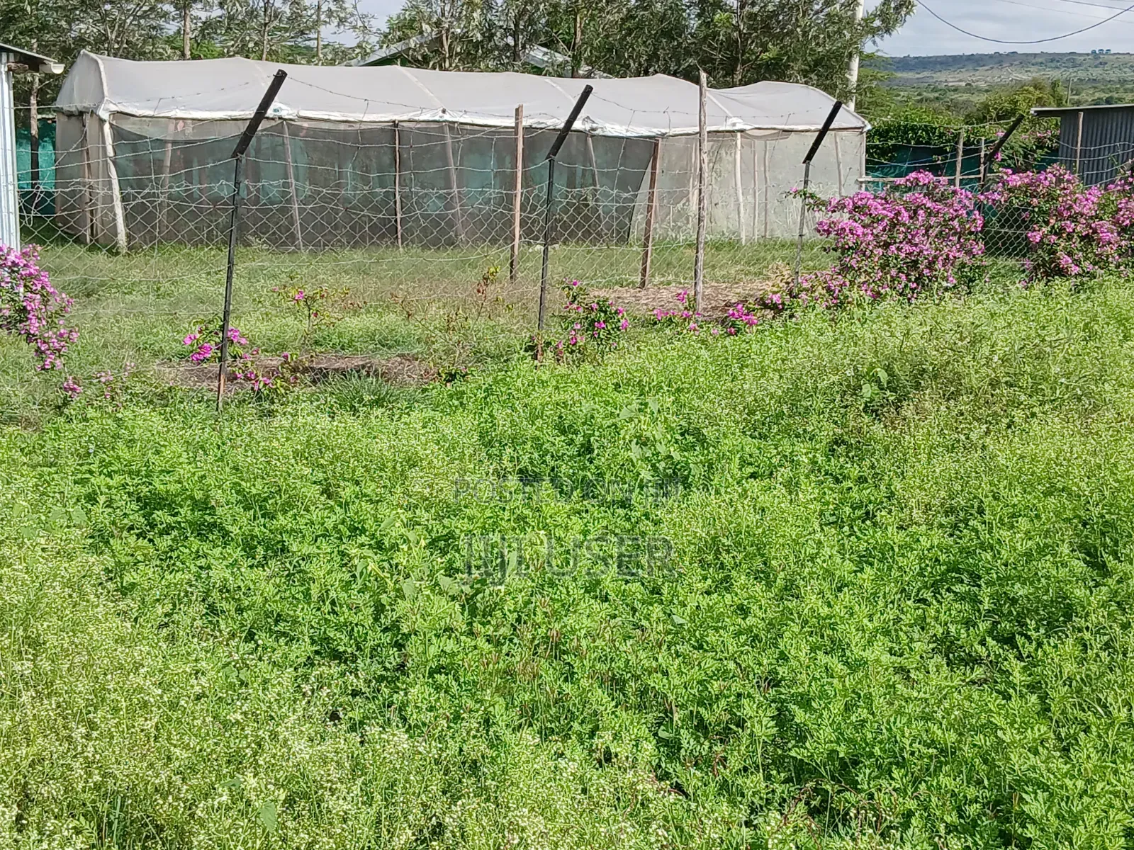 Plot for Sale in Athi River ( 50 X 100) in Woodcrest Estate