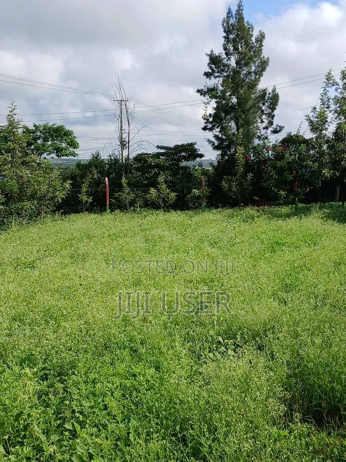 Plot for Sale in Athi River ( 50 X 100) in Woodcrest Estate