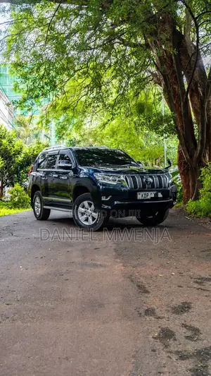 Toyota Land Cruiser 2017 Blue