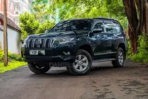 Toyota Land Cruiser 2017 Blue
