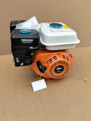 4 Stroke Gasoline/ Petrol Engine