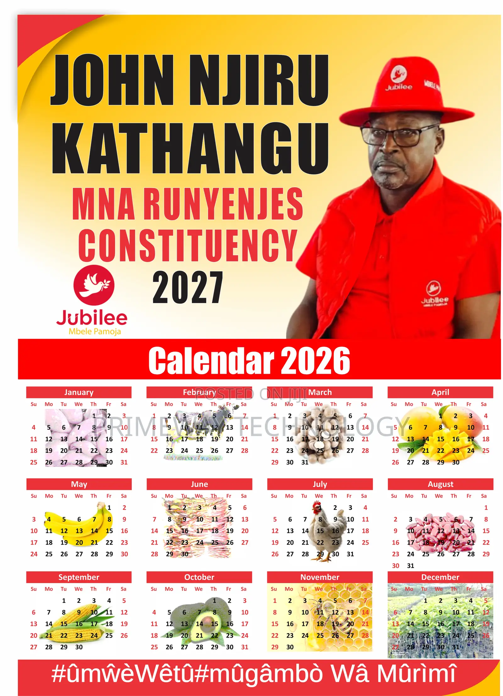 Siasa Campaign Posters
