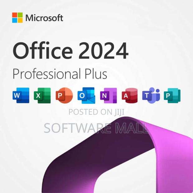 Office 2024 Pro Plus 100 User