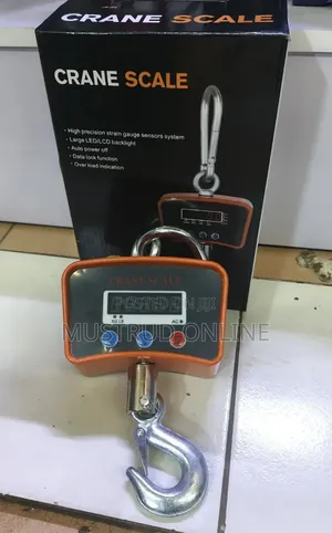 500kg Digital Crane Scale