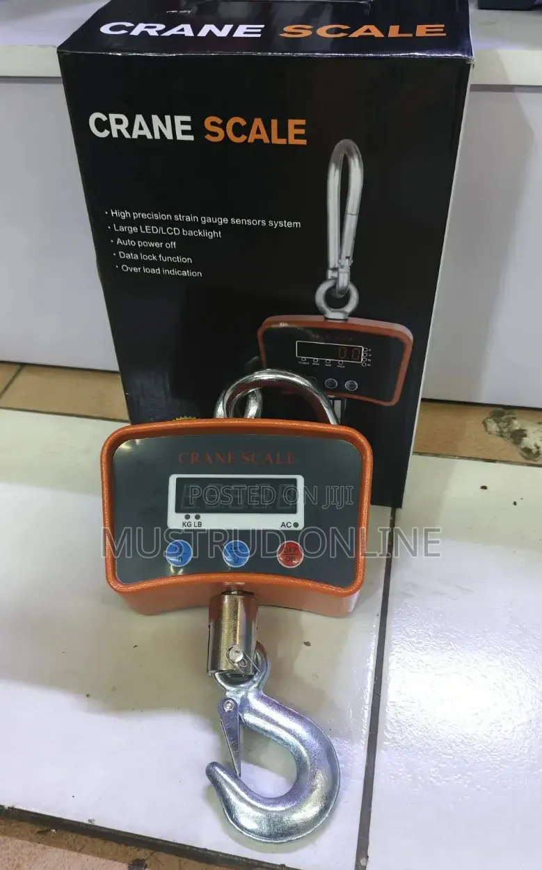 500kg Digital Crane Scale