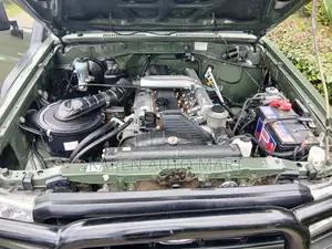 Toyota Land Cruiser 79 Series 2021 Green
