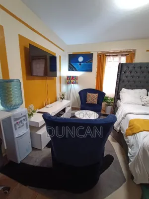 Studio Airbnb Roysambu 1500