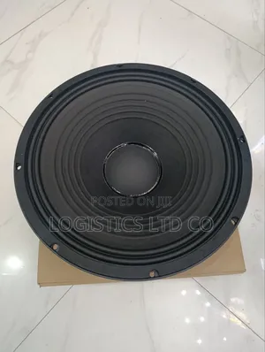 Naked 15inch Midrange Speaker