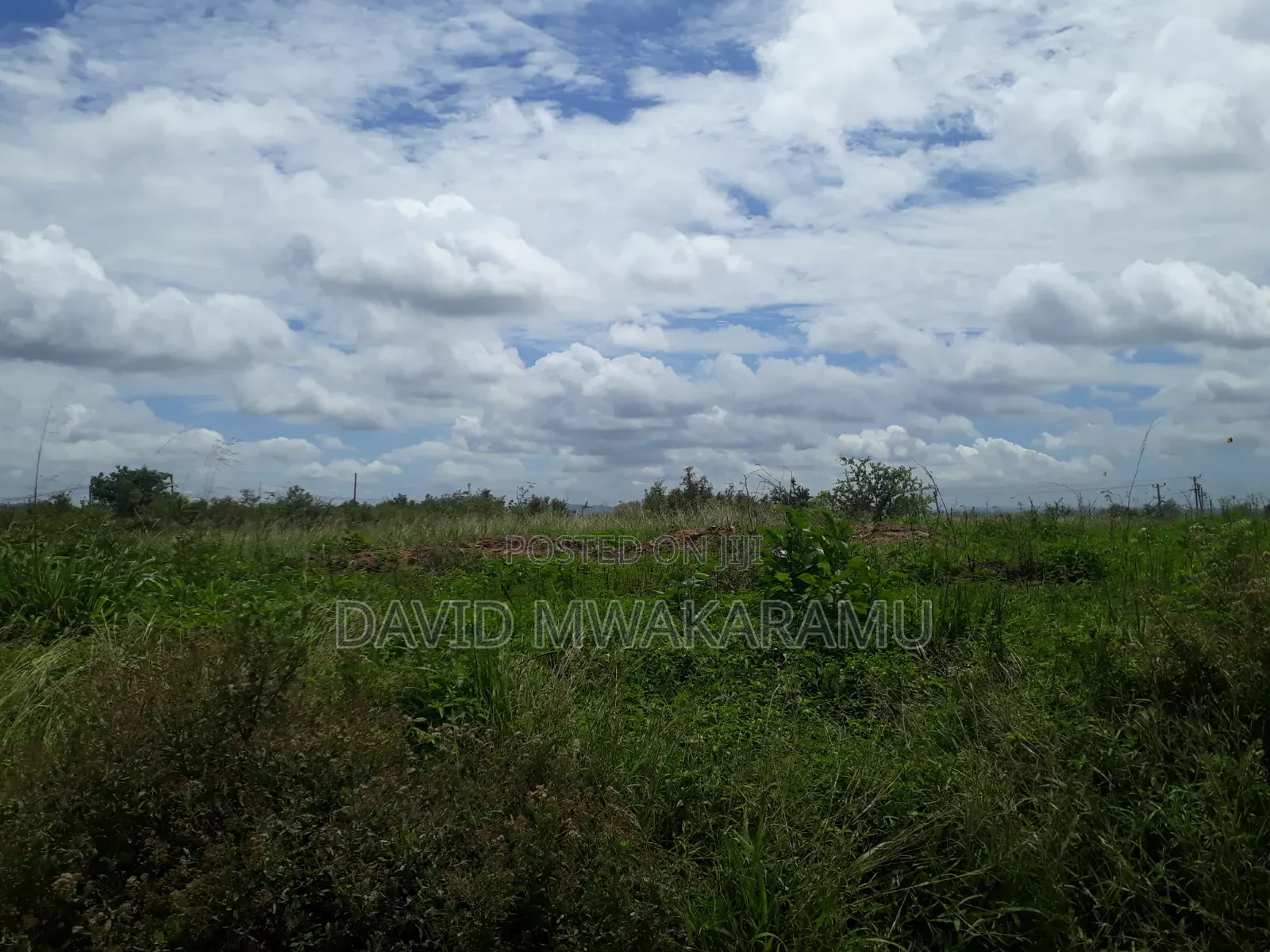 Plot for Sale