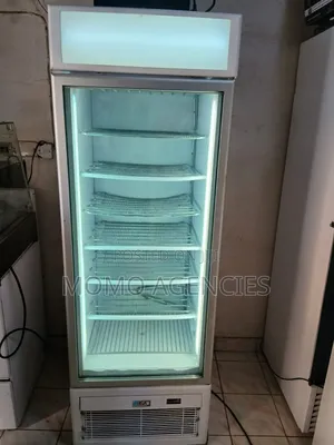 Ex-uk Upright Display Freezer 400l