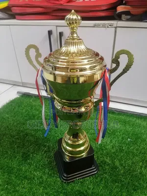 Champion Reward Trophy. 49cm Tall.