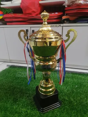 Champion Reward Trophy. 49cm Tall.