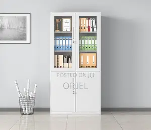 Office Steel Cabinet : Modern 2-Door Filing Office Cabinet