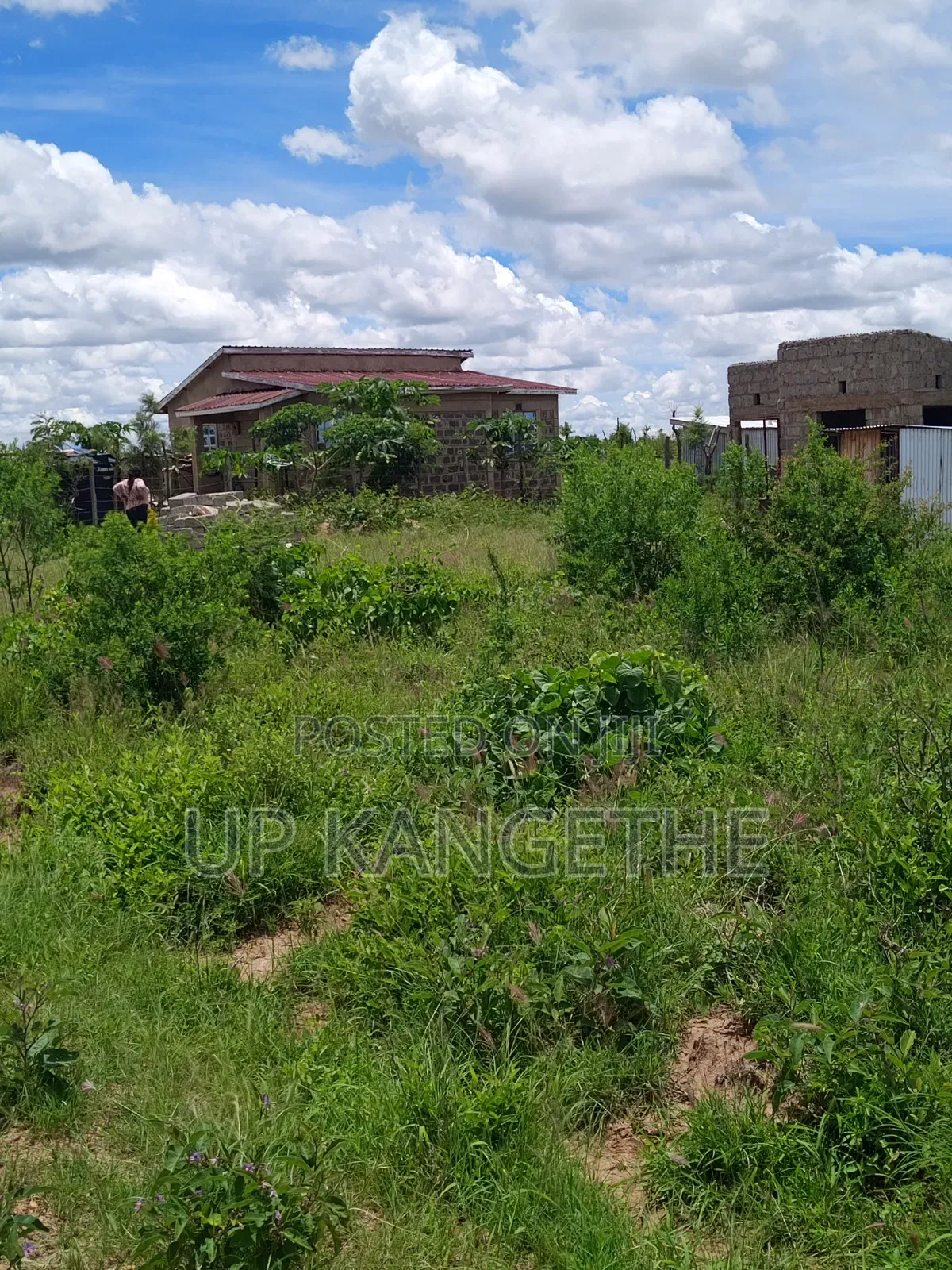 Plot 50*100 for Sale
