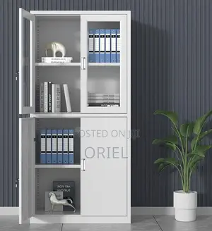 Office Steel Cabinet : Modern 2-Door Filing Office Cabinet
