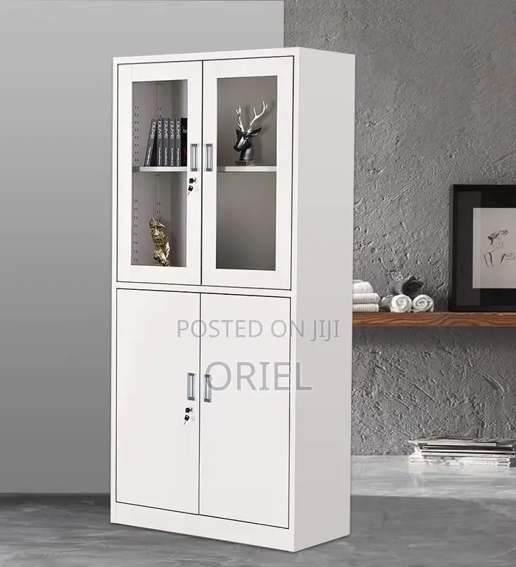Office Steel Cabinet : Modern 2-Door Filing Office Cabinet