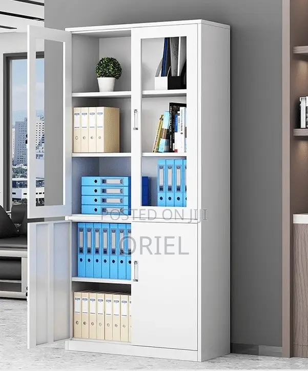 Office Steel Cabinet : Modern 2-Door Filing Office Cabinet