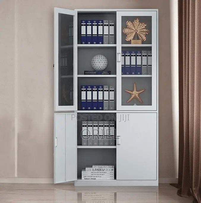 Office Steel Cabinet : Modern 2-Door Filing Office Cabinet